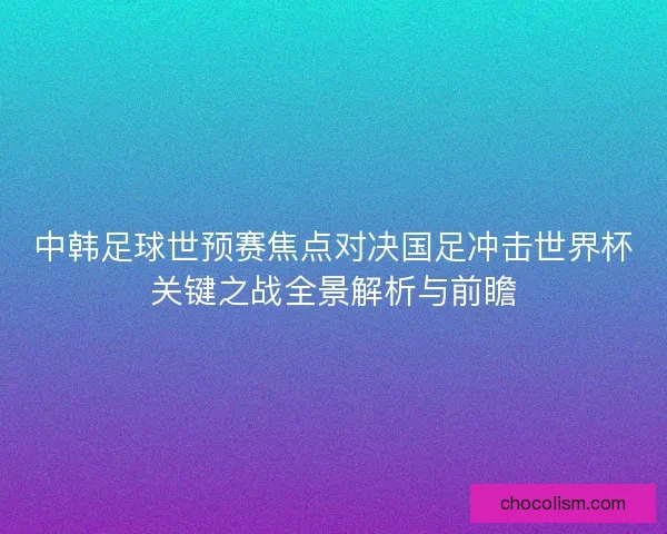 中韩足球世预赛焦点对决国足冲击世界杯关键之战全景解析与前瞻