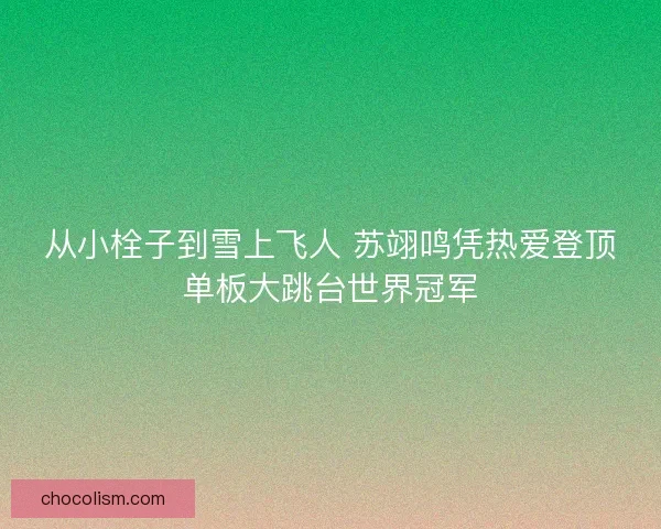 从小栓子到雪上飞人 苏翊鸣凭热爱登顶单板大跳台世界冠军 从小栓子到雪上飞人 苏翊鸣凭热爱登顶单板大跳台世界冠军