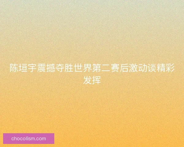 陈垣宇震撼夺胜世界第二赛后激动谈精彩发挥